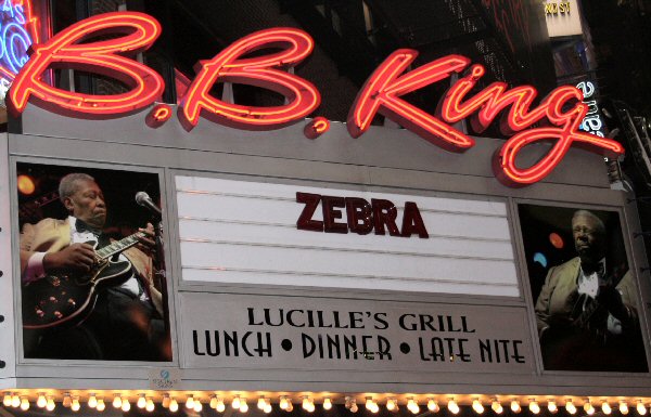 Zebra Rocks New York City